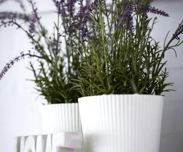 Bellevue B21 Διαμέρισμα Großenbrode